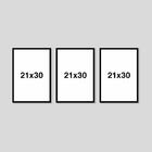 3 Quadros Decorativos Botânico Geométrico 21x30 Luven Bra