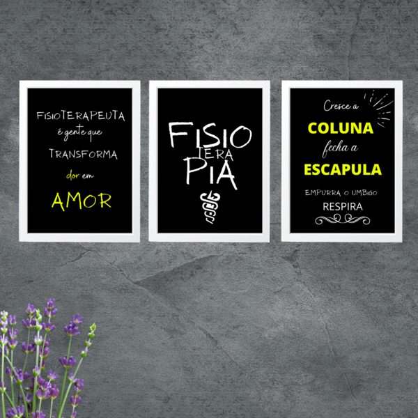 3 Quadros Decorativos Curso De Fisioterapia