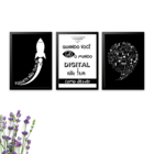 3 Quadros Decorativos Marketing Digital