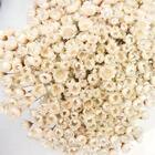 3 Sempre Vivas Rosa, Branca E Pink I Flores Desidratadas