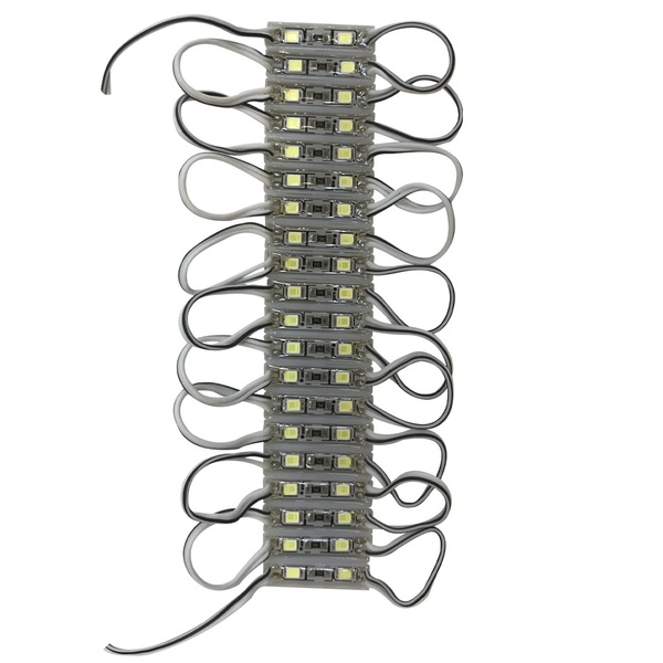 40 Pçs Mini Módulo Led 12v Ip67 5050 2-led Frio 6500k 27mm
