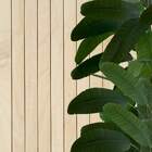 4 Árvores De Heliconia Permanente 60x55cm - Decora Ambientes