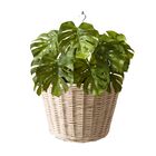 4 Costela De Adão Artificial De Luxo Folhas Em Silicone E Toq