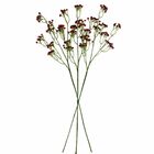 4 Flores De Mosquitinho Vermelho Permanente Para Arranjos Per