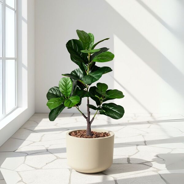 4 Folhagens Artificiais Árvore Ficus Lirata 90cm Toque E Apar