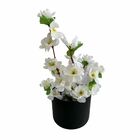 4 Galhos De Cerejeira Branca Artificial Transforme Qualquer E