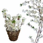 4 Galhos De Cerejeira Branca Artificial Transforme Qualquer E