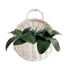 4 Hastes Com Folhas De Orquídea Artificial Verde Planta Reali