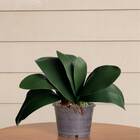 4 Hastes Com Folhas De Orquídea Artificial Verde Planta Reali