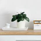 4 Hastes Com Folhas De Orquídea Artificial Verde Planta Reali