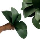 4 Hastes Com Folhas De Orquídea Artificial Verde Planta Reali