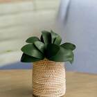 4 Hastes Com Folhas De Orquídea Artificial Verde Planta Reali