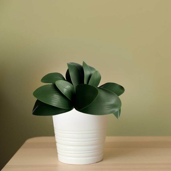 4 Hastes Com Folhas De Orquídea Artificial Verde Planta Reali