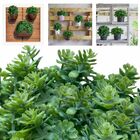 4 Mini Buquês De Suculentas Artificiais (6 Hastes Cada) Para