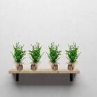 4 Mini Plantas De Eucalipto Artificial 33x18cm Para Decoração