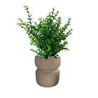 4 Mini Plantas De Eucalipto Artificial 33x18cm Para Decoração