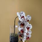 4 Orquídeas Artificiais Branca Com Miolos Vinho Ideal Para De