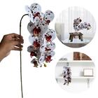 4 Orquídeas Artificiais Branca Com Miolos Vinho Ideal Para De