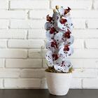 4 Orquídeas Artificiais Branca Com Miolos Vinho Ideal Para De