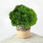 4 Picks Artificiais Realistas Com 6 Hastes Cada - Ideal Para