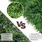 4 Placas Para Jardins Suspensos Artificiais 60x40 Proteção So