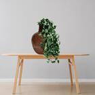 4 Plantas Pendente De Folhas Artificiais Premium Ideal Para C