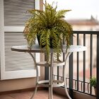 4 Samambaias Artificiais Plantas Decorativas Com Toque Natura