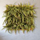 4 Samambaias Artificiais Plantas Decorativas Com Toque Natura