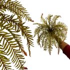 4 Samambaias Artificiais Plantas Decorativas Com Toque Natura