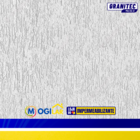 50kg Granitina Grafiato Parede Textura Argamassa Malha 10