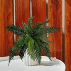 5 Buquês De Folhagens Samambaia Artificial Revestida Em Silic