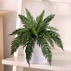 5 Buquês De Folhagens Samambaia Artificial Revestida Em Silic