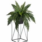 5 Buquês De Folhagens Samambaia Artificial Revestida Em Silic