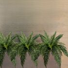 5 Buquês De Folhagens Samambaia Artificial Revestida Em Silic