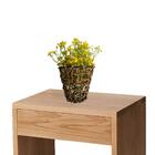 5 Galhos De Mosquitinho Amarelo Artificial Para Decoração Sof