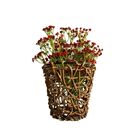 5 Galhos De Mosquitinho Vermelho Artificial Para Decoração So