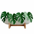 5 Hastes Flexíveis Artificiais Costela De Adão Ideal Para Dec