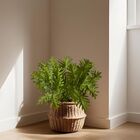 5 Mini Arbusto Artificial Xanadu 65cm Com Folhas Realistas Em