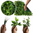 5 Painéis Parede De Grama Artificial 60x40 Design Premium Dur