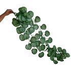 5 Pendentes De Folhagem Begônia Permanentes Plantas Para Ambi