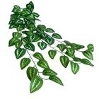 5 Pendentes De Folhagem Jiboia Permanentes Plantas Para Ambie