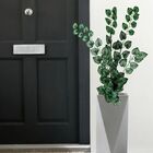 5 Pendentes De Folhagem Melancia Permanentes Plantas Para Amb