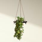 5 Pendentes De Planta Artificial Com Textura Realista (5 Galh