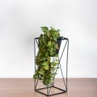 5 Pendentes De Planta Artificial Com Textura Realista (5 Galh