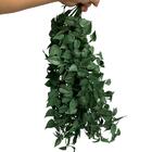 5 Pendentes De Planta Artificial Com Textura Realista (5 Galh
