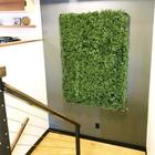 5 Placas Artificiais De Alta Qualidade Para Jardins Verticais