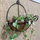 5 Vasos De Parede De Fibra De Coco 35cm De Plantas Meio Vaso