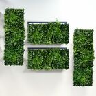 5m² De Painéis De Jardim Vertical Lindos E Luxuosos Com Prote