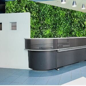 5m² De Painéis De Jardim Vertical Lindos E Luxuosos Com Proteção Uv ...