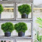 6 Buquês De Picks Artificiais Com 6 Hastes Cada - Solução Ele